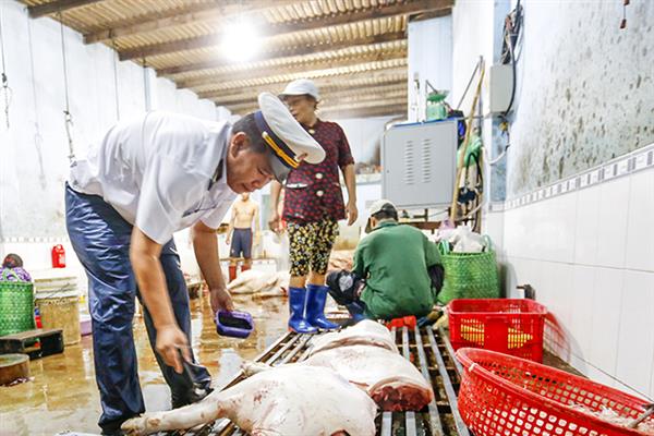 Cán bộ thú y kiểm soát tại một lò mổ - Ảnh minh họa Nguồn: baokhanhhoa.vn Cán bộ thú y kiểm soát tại một lò mổ - Ảnh minh họa Nguồn: baokhanhhoa.vn